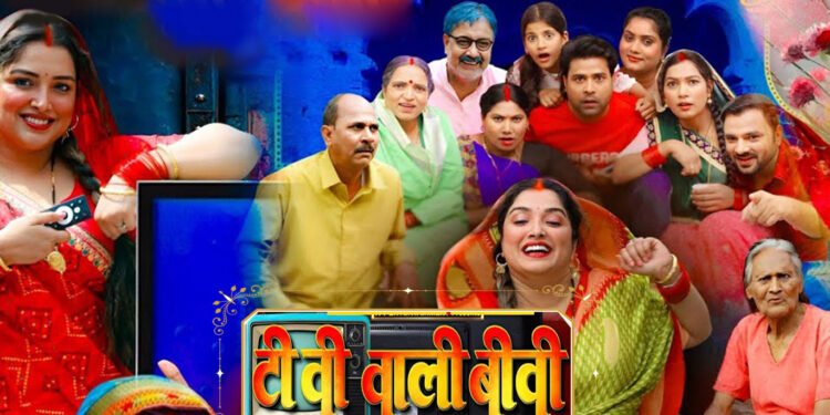 tv-wali-biwi